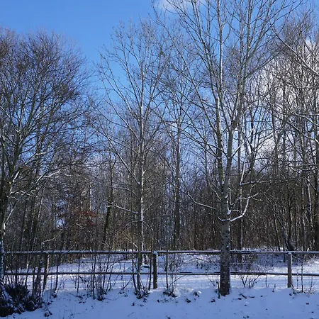 Chalet Waldzeit Zachenberg Esterno foto